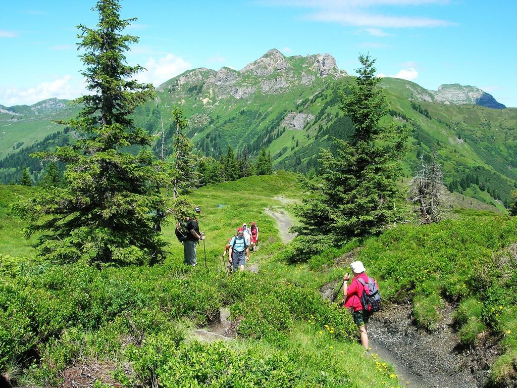 Landhotel Steindlwirt Dorfgastein Exteriér fotografie