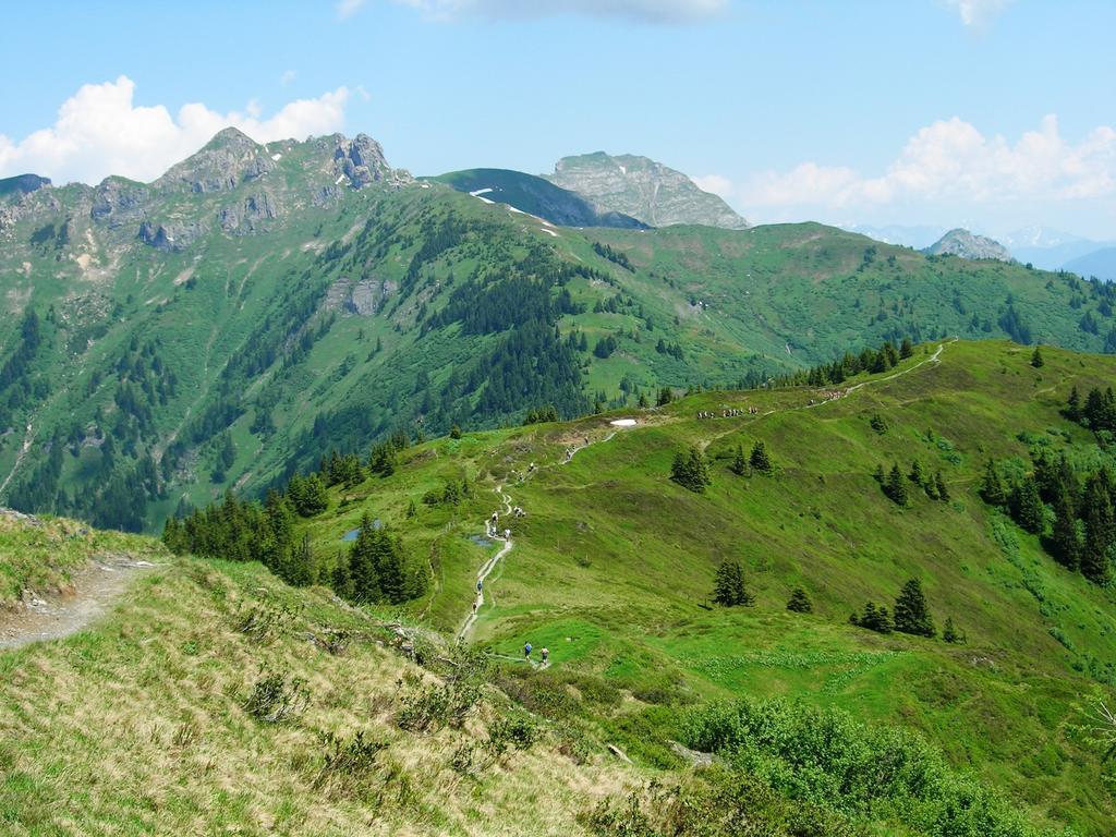Landhotel Steindlwirt Dorfgastein Exteriér fotografie